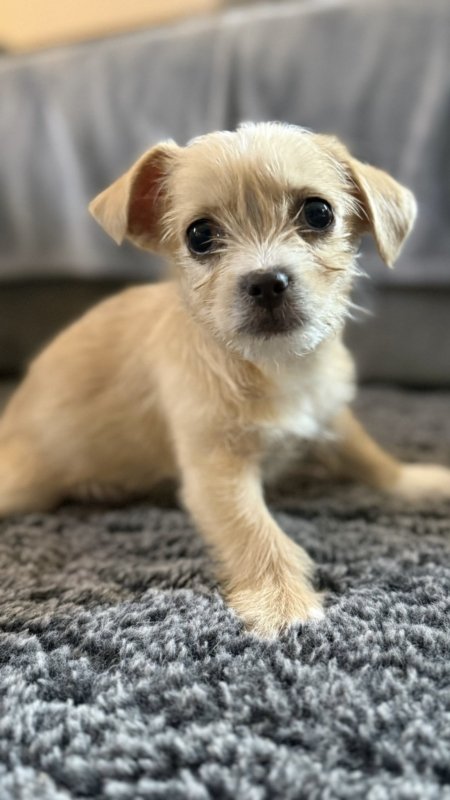 E93d5cb3 3a6b 4dec b0f8 17f3f8e36c73