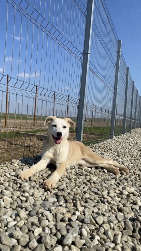 0b5db3ef 990d 45cc a224 3f205635b6bb