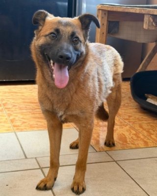 Coco