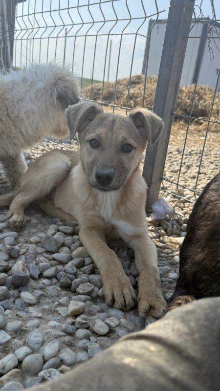 11986ca7 ebec 4f3d 991a cc97f8161f48