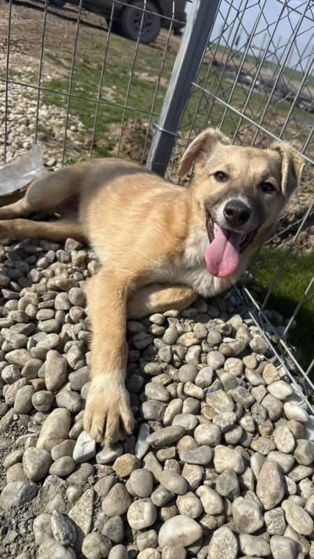 1d4c4c98 0e57 4b38 b89d 576c96814dad