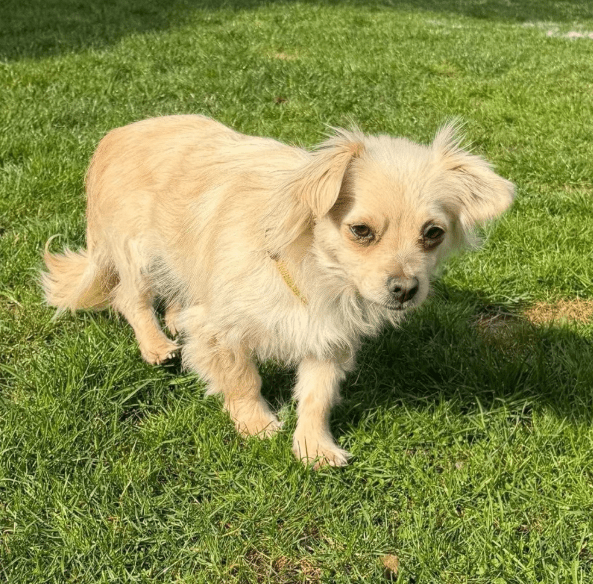 2026 03 09 11 38 50 Posteingang Sina.Rieke Kroeger@oetker.com Outlook