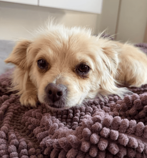 2026 03 09 11 38 53 Posteingang Sina.Rieke Kroeger@oetker.com Outlook