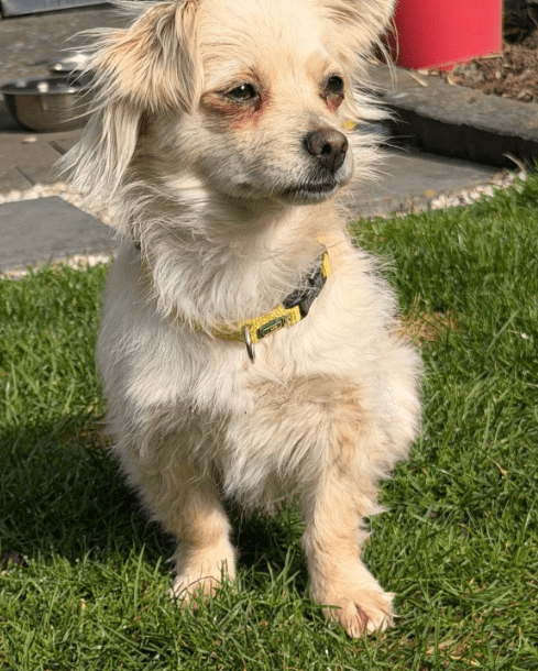 2026 03 09 11 39 01 Posteingang Sina.Rieke Kroeger@oetker.com Outlook