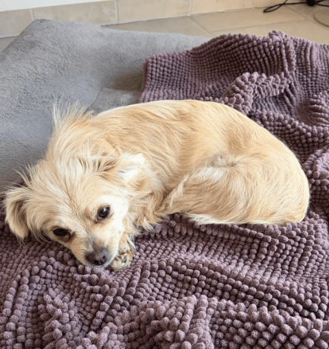 2026 03 09 11 39 05 Posteingang Sina.Rieke Kroeger@oetker.com Outlook