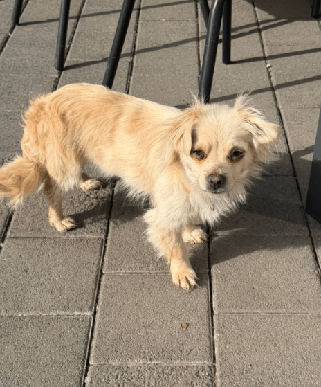 2026 03 09 11 39 11 Posteingang Sina.Rieke Kroeger@oetker.com Outlook