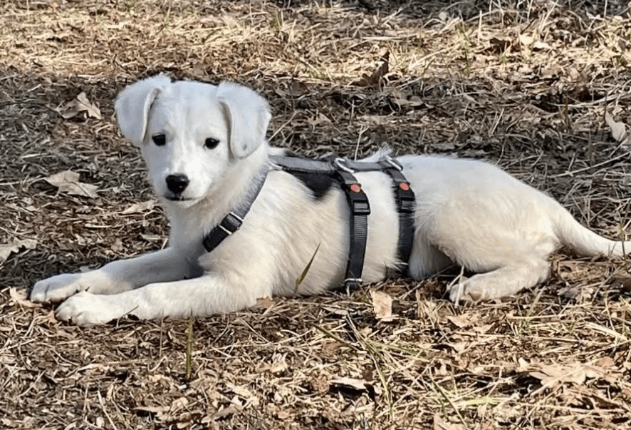 2026 03 25 20 52 19 Posteingang Sina.Rieke Kroeger@oetker.com Outlook