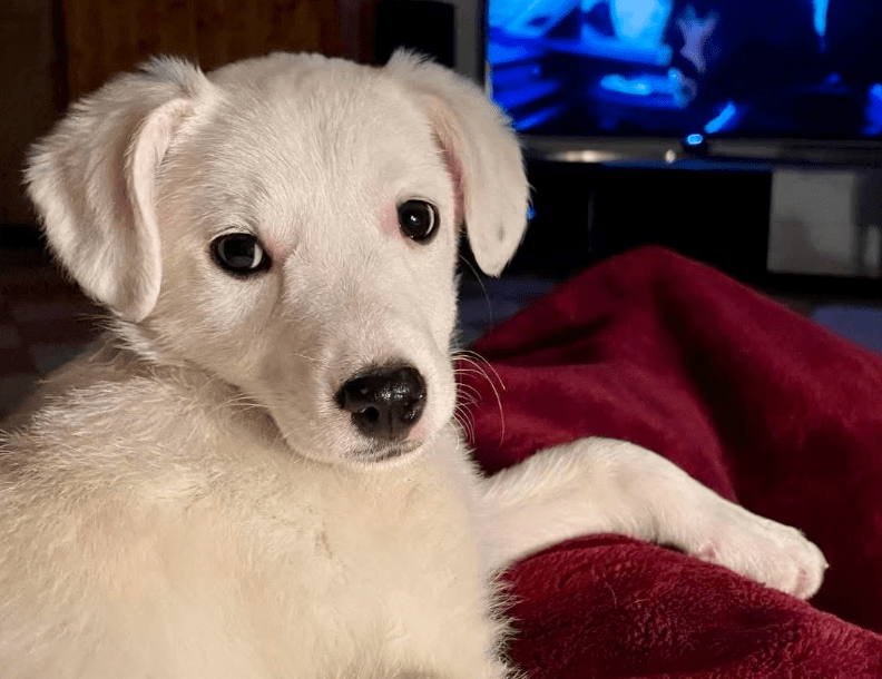 2026 03 25 20 52 24 Posteingang Sina.Rieke Kroeger@oetker.com Outlook