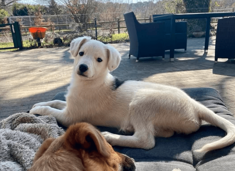 2026 03 25 20 52 29 Posteingang Sina.Rieke Kroeger@oetker.com Outlook