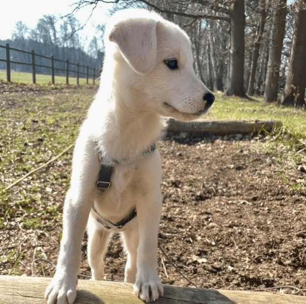 2026 03 25 20 52 34 Posteingang Sina.Rieke Kroeger@oetker.com Outlook