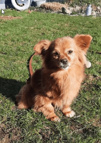 2026 04 01 14 00 20 Kariko, Ivett Microsoft Teams