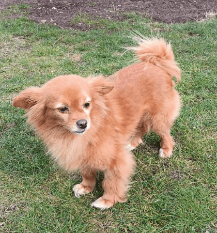 2026 04 01 14 00 25 Kariko, Ivett Microsoft Teams