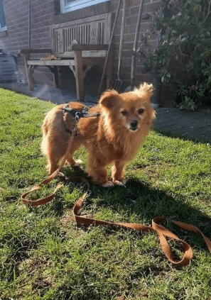 2026 04 01 14 00 29 Kariko, Ivett Microsoft Teams