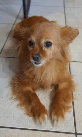 2026 04 01 14 00 32 Kariko, Ivett Microsoft Teams