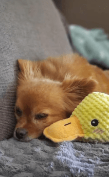 2026 04 01 14 00 37 Kariko, Ivett Microsoft Teams