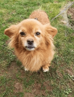 2026 04 01 14 00 41 Kariko, Ivett Microsoft Teams