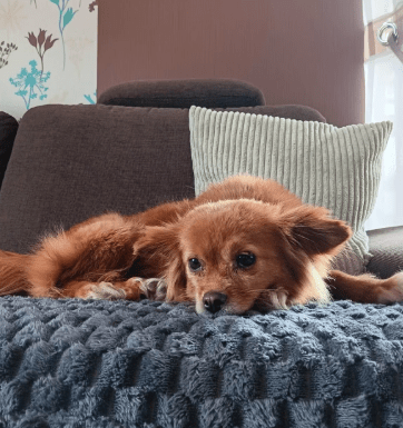 2026 04 01 14 01 15 Weekly Touchpoint Oetker Solutions NEXT Microsoft Teams