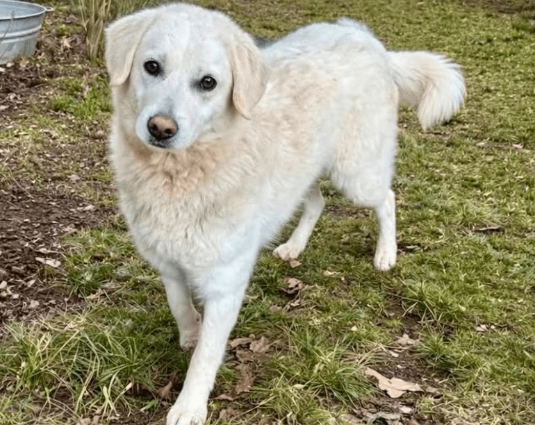 2026 04 06 15 04 30 Posteingang Sina.Rieke Kroeger@oetker.com Outlook