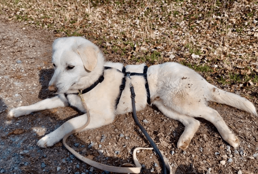 2026 04 06 15 04 36 Posteingang Sina.Rieke Kroeger@oetker.com Outlook