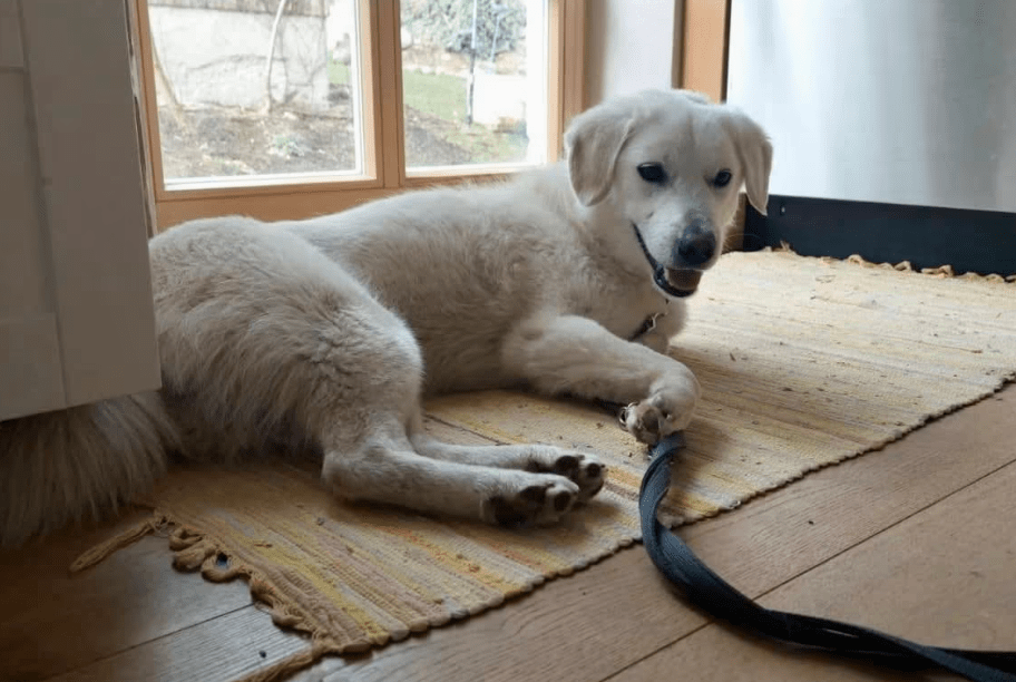 2026 04 06 15 04 42 Posteingang Sina.Rieke Kroeger@oetker.com Outlook