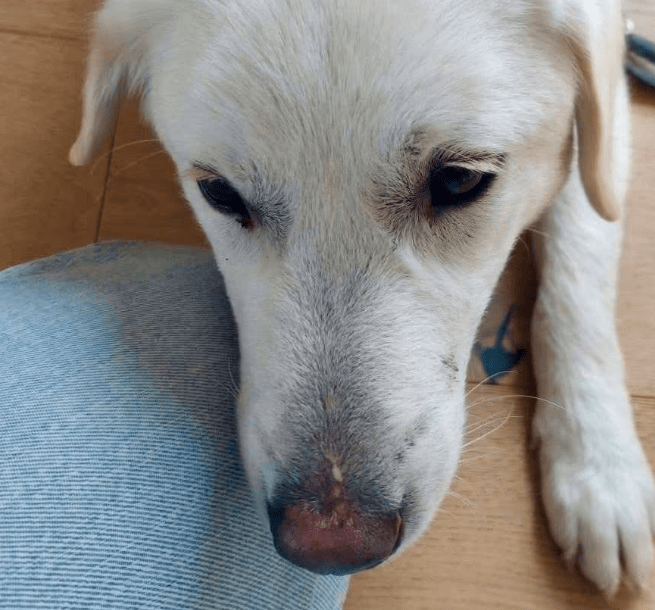 2026 04 06 15 04 48 Posteingang Sina.Rieke Kroeger@oetker.com Outlook