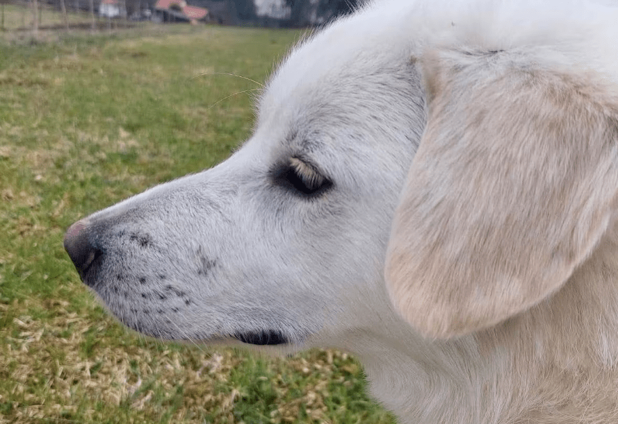 2026 04 06 15 04 53 Posteingang Sina.Rieke Kroeger@oetker.com Outlook