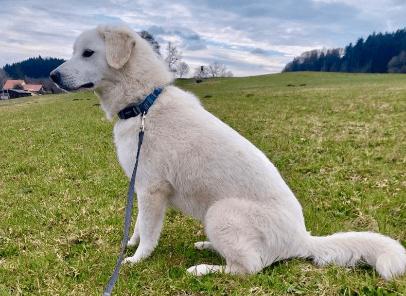 2026 04 06 15 04 57 Posteingang Sina.Rieke Kroeger@oetker.com Outlook