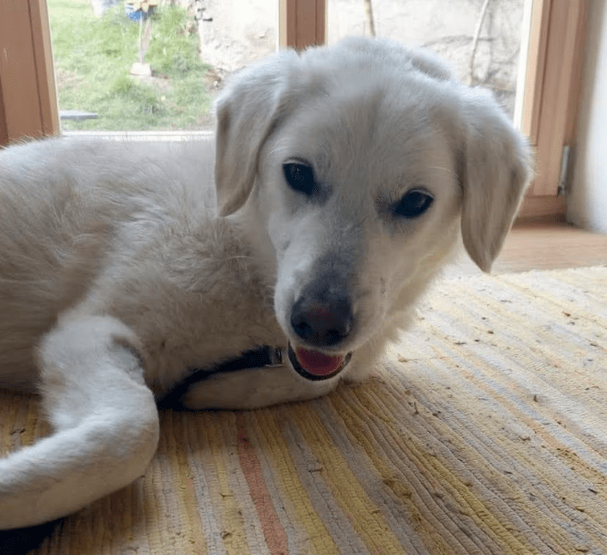 2026 04 06 15 05 01 Posteingang Sina.Rieke Kroeger@oetker.com Outlook