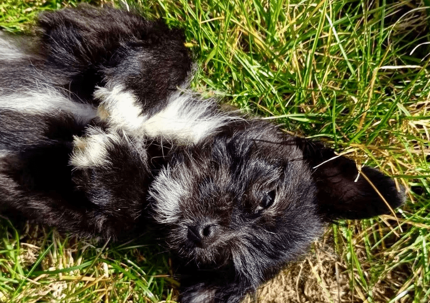 2026 04 06 15 07 33 Posteingang Sina.Rieke Kroeger@oetker.com Outlook