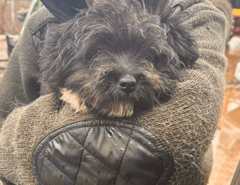 2026 04 06 15 07 42 Posteingang Sina.Rieke Kroeger@oetker.com Outlook