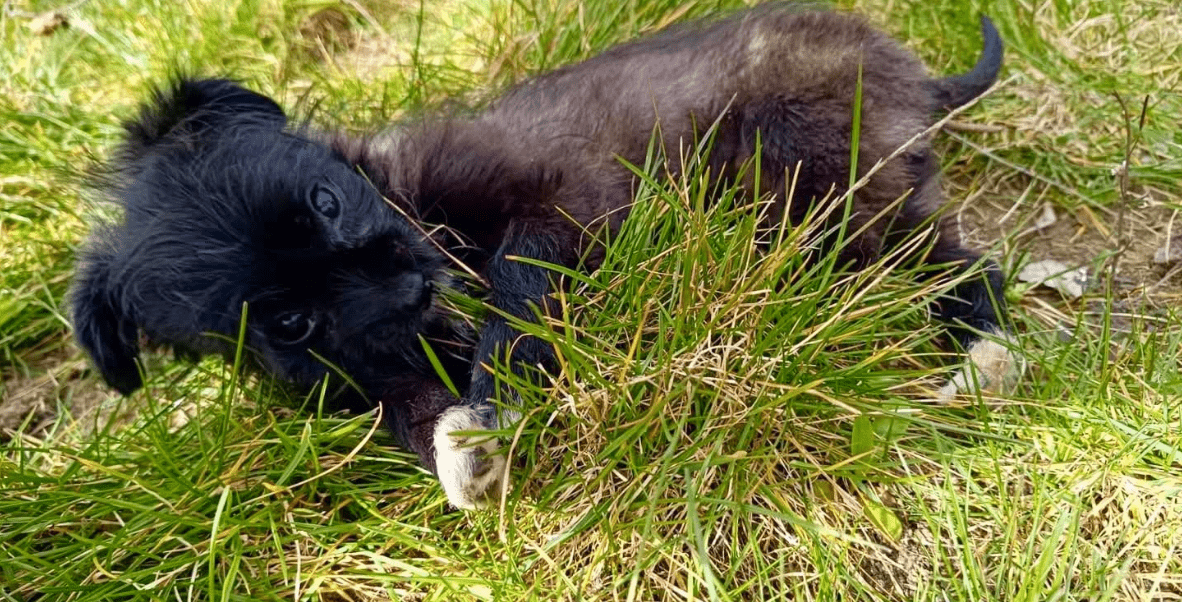 2026 04 06 15 07 47 Posteingang Sina.Rieke Kroeger@oetker.com Outlook