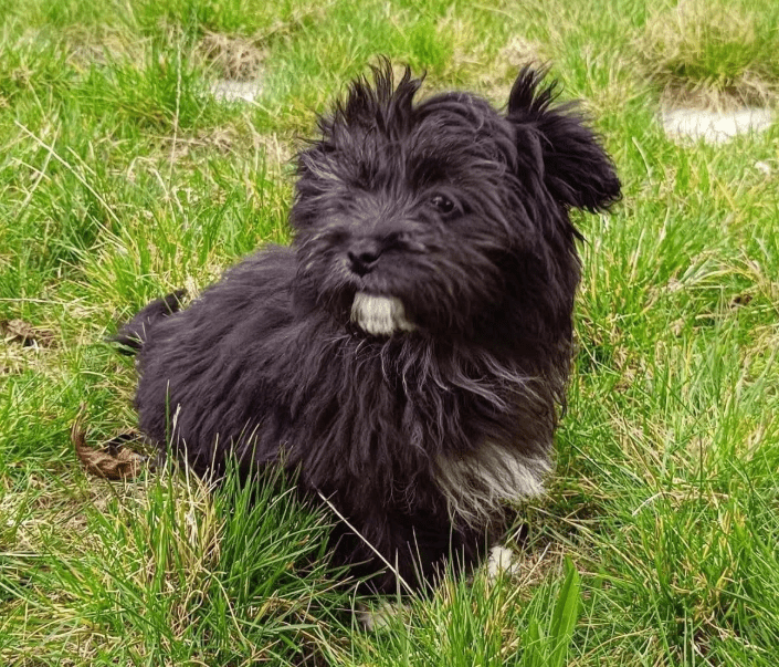 2026 04 06 15 08 47 Posteingang Sina.Rieke Kroeger@oetker.com Outlook