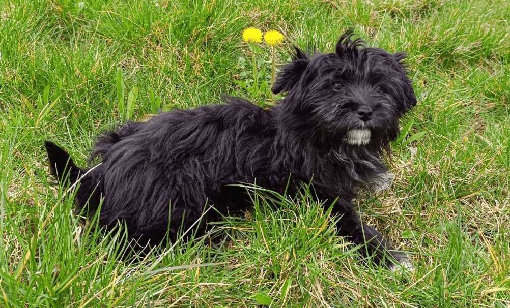 2026 04 06 15 08 54 Posteingang Sina.Rieke Kroeger@oetker.com Outlook