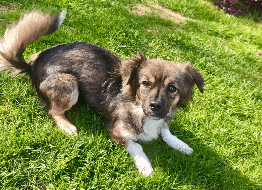 2026 04 06 15 10 20 Posteingang Sina.Rieke Kroeger@oetker.com Outlook