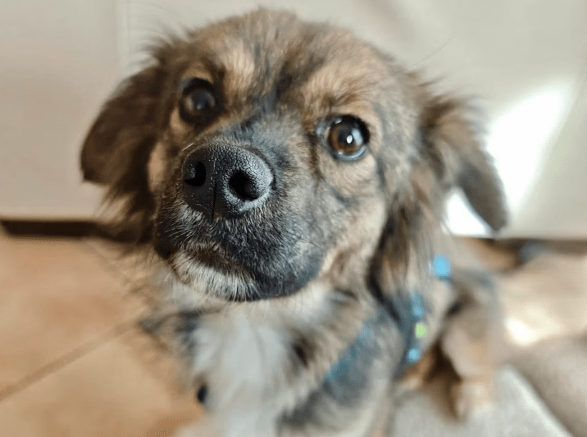 2026 04 06 15 10 25 Posteingang Sina.Rieke Kroeger@oetker.com Outlook