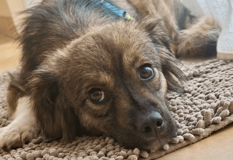 2026 04 06 15 10 29 Posteingang Sina.Rieke Kroeger@oetker.com Outlook