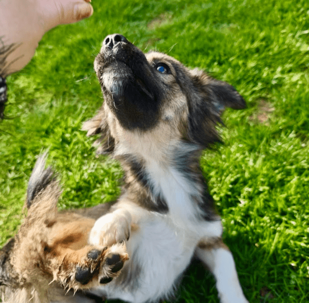 2026 04 06 15 10 33 Posteingang Sina.Rieke Kroeger@oetker.com Outlook