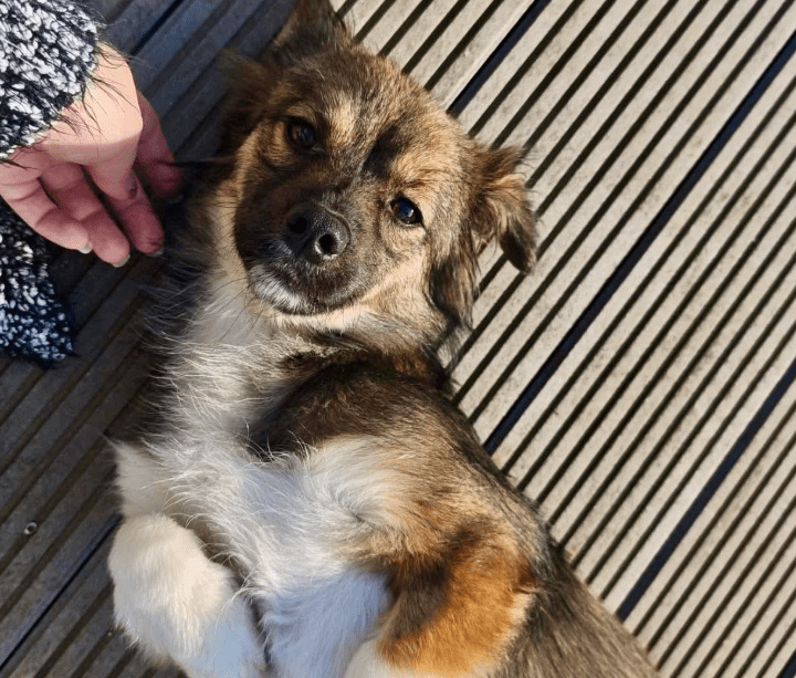 2026 04 06 15 10 37 Posteingang Sina.Rieke Kroeger@oetker.com Outlook