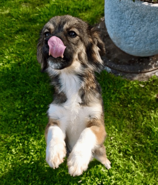 2026 04 06 15 10 42 Posteingang Sina.Rieke Kroeger@oetker.com Outlook