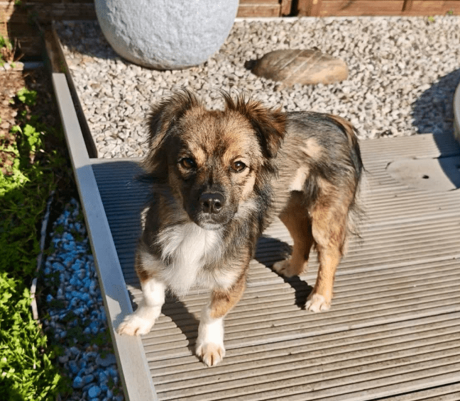 2026 04 06 15 10 46 Posteingang Sina.Rieke Kroeger@oetker.com Outlook