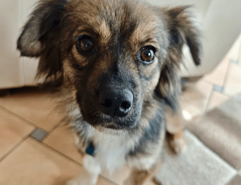 2026 04 06 15 10 49 Posteingang Sina.Rieke Kroeger@oetker.com Outlook