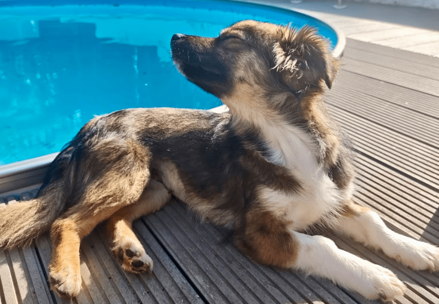 2026 04 06 15 10 53 Posteingang Sina.Rieke Kroeger@oetker.com Outlook