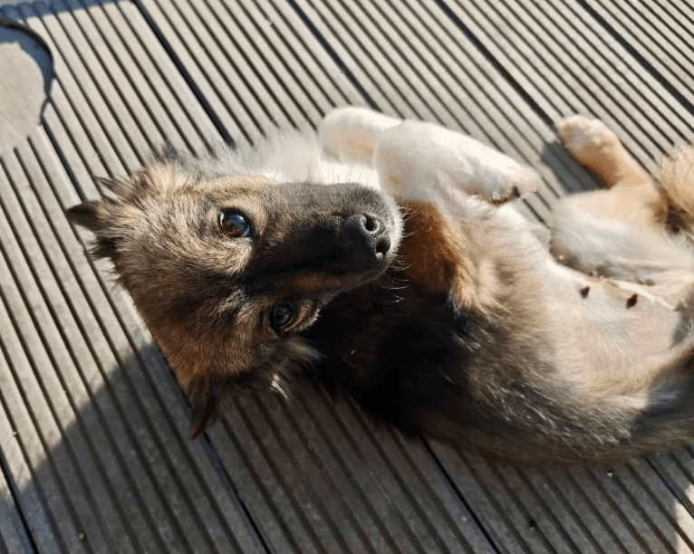 2026 04 06 15 10 59 Posteingang Sina.Rieke Kroeger@oetker.com Outlook