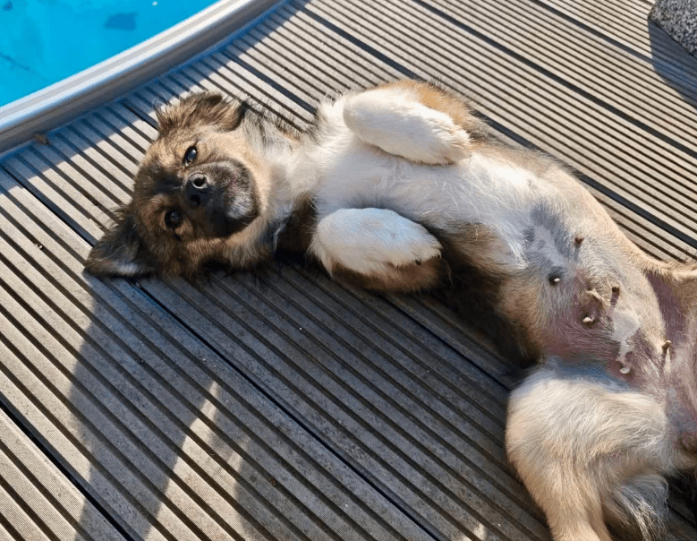 2026 04 06 15 11 03 Posteingang Sina.Rieke Kroeger@oetker.com Outlook