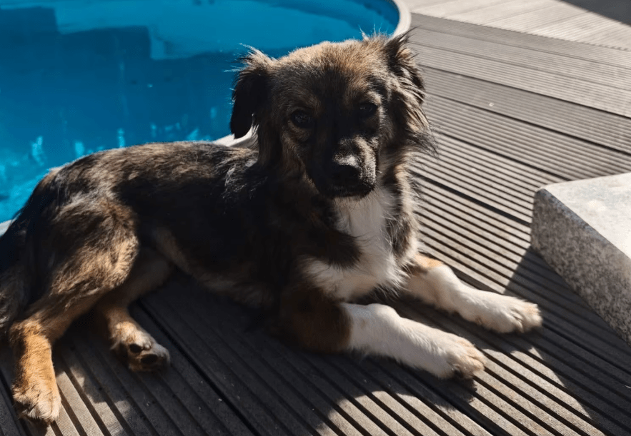 2026 04 06 15 11 09 Posteingang Sina.Rieke Kroeger@oetker.com Outlook