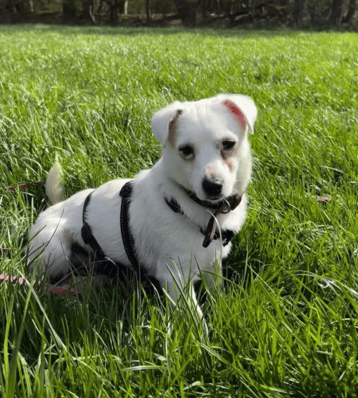 2026 04 13 10 13 12 Posteingang Sina.Rieke Kroeger@oetker.com Outlook