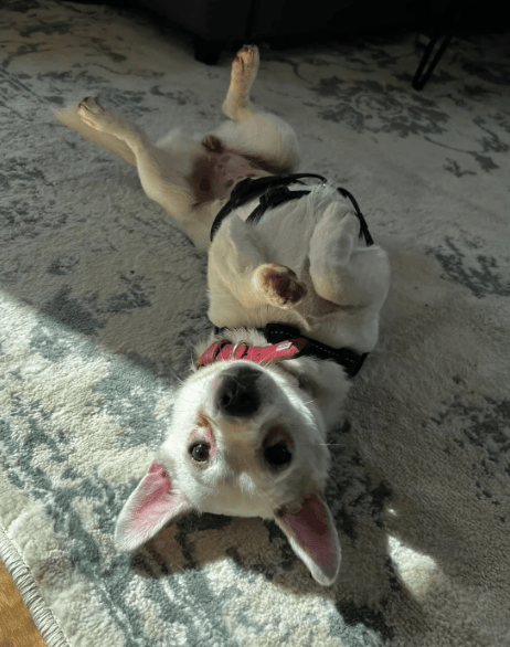 2026 04 13 10 13 20 Posteingang Sina.Rieke Kroeger@oetker.com Outlook