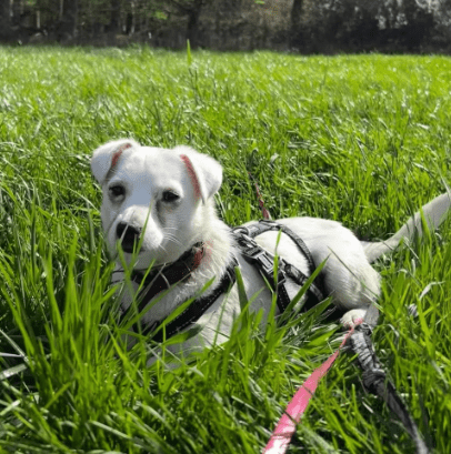 2026 04 13 10 13 23 Posteingang Sina.Rieke Kroeger@oetker.com Outlook