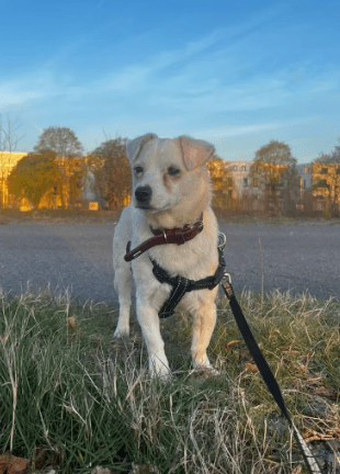 2026 04 13 10 13 26 Posteingang Sina.Rieke Kroeger@oetker.com Outlook