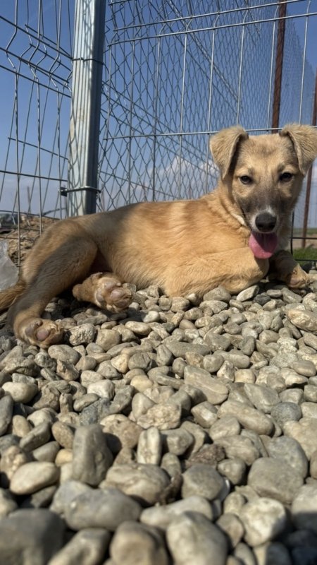 3726edc8 ac7f 4f62 a356 e33c7c91878c